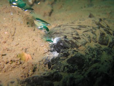 Scientists find good news about methane bubbling up from the ocean floor Scientists find good news about methane bubbling up from the ocean floor