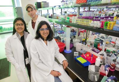 Berkeley Lab researchers create first of its kind gene map of sulfate-reducing bacterium Berkeley Lab researchers create first of its kind gene map of sulfate-reducing bacterium