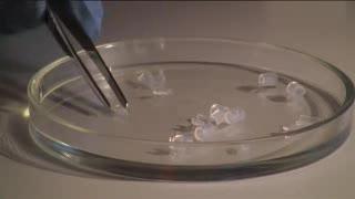 New scientific method unmasks chronic infections New scientific method unmasks chronic infections