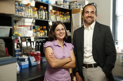 A new model -- and possible treatment -- for staph bone infections A new model -- and possible treatment -- for staph bone infections