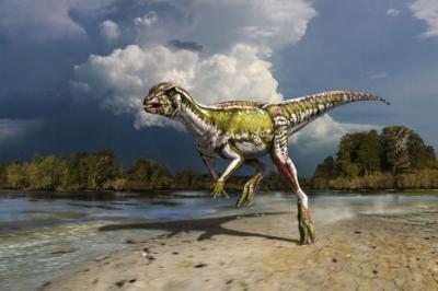 Small, speedy plant-eater extends knowledge of dinosaur ecosystems Small, speedy plant-eater extends knowledge of dinosaur ecosystems