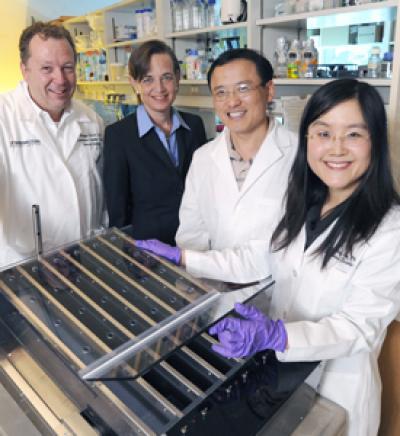 Health benefits of exercise may depend on cellular degradation, UT Southwestern researchers report Health benefits of exercise may depend on cellular degradation, UT Southwestern researchers report