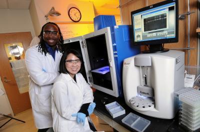 Researchers use blood testing to predict level of enzymes that facilitate disease progression Researchers use blood testing to predict level of enzymes that facilitate disease progression