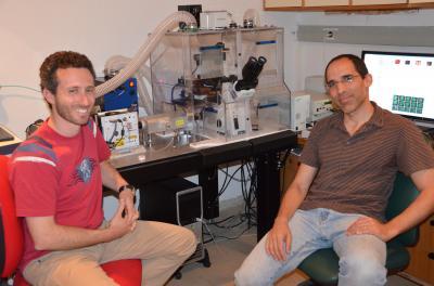 Researchers identify mechanisms that allow embryonic stem cells to become any cell in the human body Researchers identify mechanisms that allow embryonic stem cells to become any cell in the human body