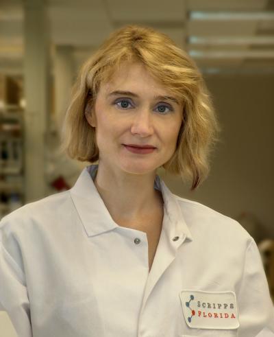 Scripps research scientists identify most lethal known species of prion protein