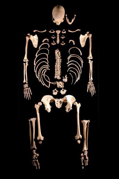 Part of the genome of 2 hunter-gatherers from 7,000 years ago recovered