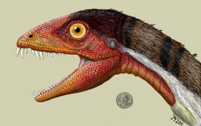 Scientists discover a new species of dinosaur, bridging a gap in the dinosaur family tree Scientists discover a new species of dinosaur, bridging a gap in the dinosaur family tree