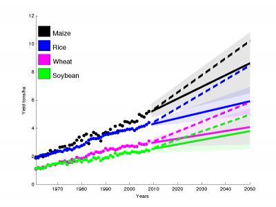Yield trends insufficient to double global crop production by 2050 Yield trends insufficient to double global crop production by 2050