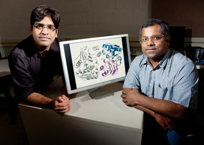 Team discovers how bacteria resist a 'Trojan horse' antibiotic Team discovers how bacteria resist a 'Trojan horse' antibiotic