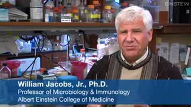 Study finds vitamin C can kill drug-resistant TB Study finds vitamin C can kill drug-resistant TB