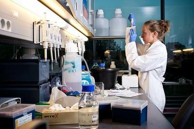 Enzyme controls transport of genomic building blocks Enzyme controls transport of genomic building blocks