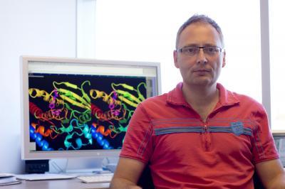 New insight into mechanisms behind autoimmune diseases suggests a potential therapy New insight into mechanisms behind autoimmune diseases suggests a potential therapy