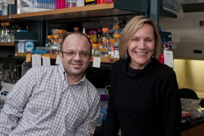 A bit touchy: Plants' insect defenses activated by touch