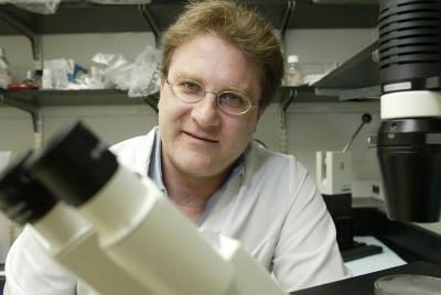 Marshall University study may lead to new treatments for prostate cancer Marshall University study may lead to new treatments for prostate cancer