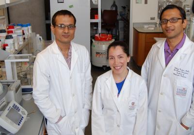 Scientists discover genetic switch that can prevent peripheral vascular disease in mice Scientists discover genetic switch that can prevent peripheral vascular disease in mice
