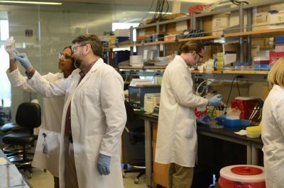 Sanford-Burnham researchers identify target to prevent hardening of arteries Sanford-Burnham researchers identify target to prevent hardening of arteries