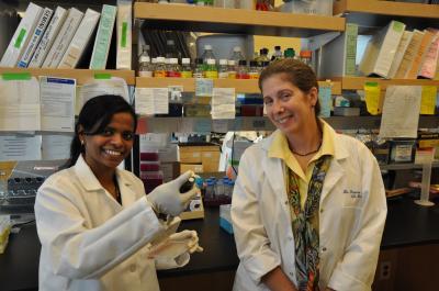 New avenue for treating colon cancer