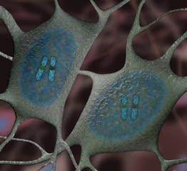angelman syndrome ube3a