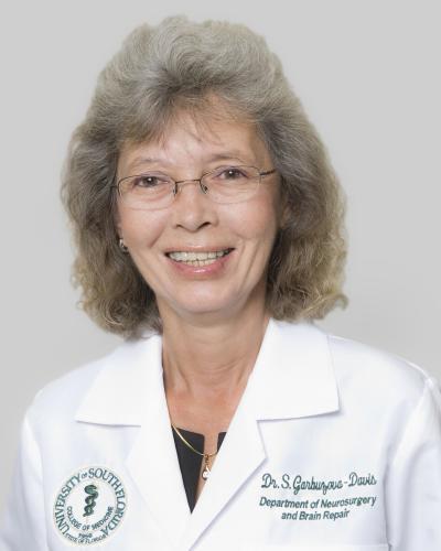 USF researchers find far-reaching, microvascular damage in uninjured side of brain after stroke USF researchers find far-reaching, microvascular damage in uninjured side of brain after stroke