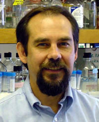 Gene therapy cocktail shows promise in long-term clinical trial for rare fatal brain disorder Gene therapy cocktail shows promise in long-term clinical trial for rare fatal brain disorder