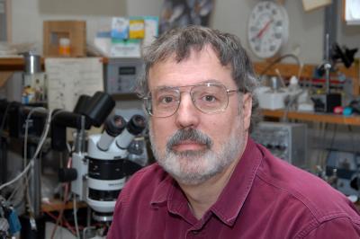 MU research sheds light on nerve regeneration following spinal cord injury MU research sheds light on nerve regeneration following spinal cord injury