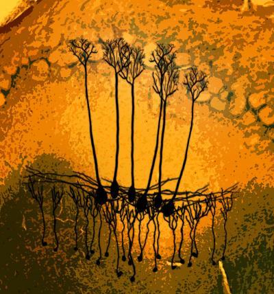 'Can you hear me now?' Researchers detail how neurons decide how to transmit information 'Can you hear me now?' Researchers detail how neurons decide how to transmit information