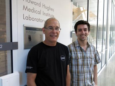 Researchers explain how neural stem cells create new and varied neurons Researchers explain how neural stem cells create new and varied neurons