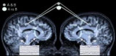 Playing computer games makes brains feel and think alike Playing computer games makes brains feel and think alike