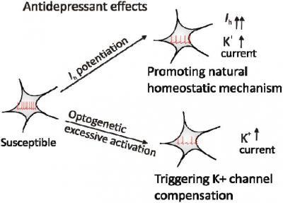 Jump-starting natural resilience reverses stress susceptibility Jump-starting natural resilience reverses stress susceptibility