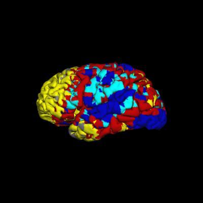 Validating maps of the brain's resting state Validating maps of the brain's resting state