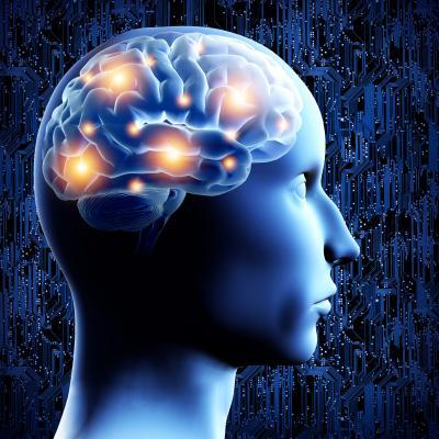 New study settles how social understanding is performed by the brain New study settles how social understanding is performed by the brain