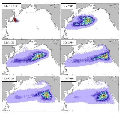 The huge tsunami triggered by Hawaii Tsunami 2011. The huge tsunami triggered by