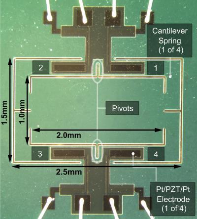 Fly-inspired sound detector Fly-inspired sound detector