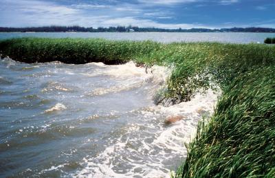 Strong El Niño could bring increased sea levels, storm surges to US East Coast