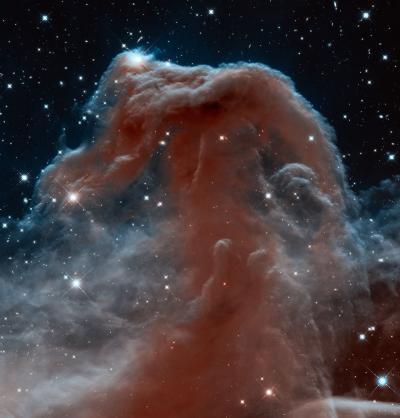 A fresh take on the Horsehead Nebula A fresh take on the Horsehead Nebula