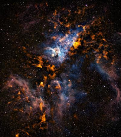 The cool clouds of Carina -- a new view of star formation in the Carina Nebula