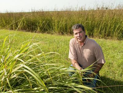 5-10 percent corn yield jump using erosion-slowing cover crops shown in ISU study