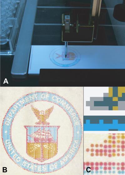 NIST effort could improve high-tech medical scanners NIST effort could improve high-tech medical scanners