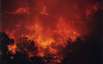 Scorched Earth: The past, present and future of human influences on wildfires