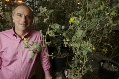 Scientists urge new approaches to plant research