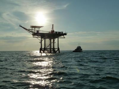 Study confirms oil from Deepwater Horizon disaster  entered food chain in the Gulf of Mexico