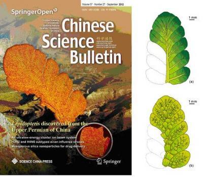 A mysterious seed fern, Lepidopteris, discovered from the Upper Permian of China A mysterious seed fern, Lepidopteris, discovered from the Upper Permian of China