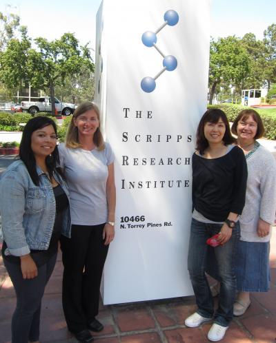 Scripps Research scientists find an important molecular trigger for wound-healing Scripps Research scientists find an important molecular trigger for wound-healing