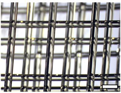 Penn researchers improve living tissues with 3-D printed vascular networks made from sugar