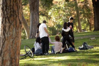 60 percent of Spanish adolescents state they do not take drugs and rarely drink alcohol 60 percent of Spanish adolescents state they do not take drugs and rarely drink alcohol