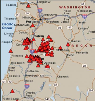 Invasive false brome grass is spreading, but Oregon's insects are biting