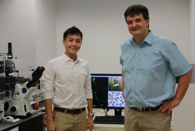 Study led by NUS scientists provides new insights into cause of human neurodegenerative disease Study led by NUS scientists provides new insights into cause of human neurodegenerative disease