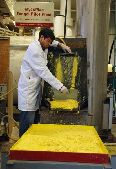 Iowa State engineer scales up process that could improve economics of ethanol production Iowa State engineer scales up process that could improve economics of ethanol production