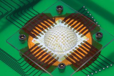 Insect-inspired camera captures wide field of view with no distortion, according to CU-Boulder study Insect-inspired camera captures wide field of view with no distortion, according to CU-Boulder study