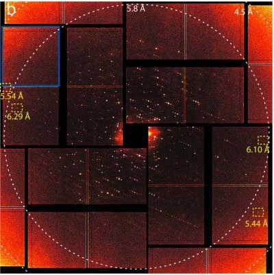 A new way of looking at photosystem II